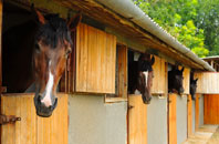 free Park Head stable construction quotes
